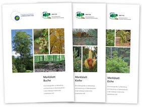 Titelseiten der Merkblätter