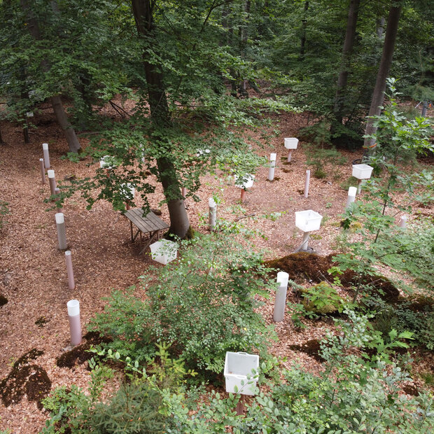 Diverse Messinstrumente auf einem Waldboden