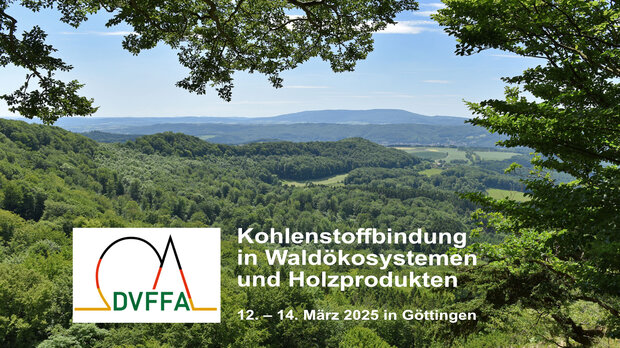 Blick auf eine sommerliche Mittelgebirgslandschaft