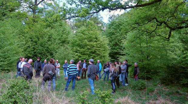 Gruppe Menschen im sommerlichen Hutewald
