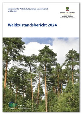 Titel des Waldzustandberichts 2024 Sachsen-Anhalt