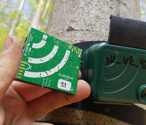 kleines Gerät in der Hand eines Wissenschaftlers wird an Baum installiert