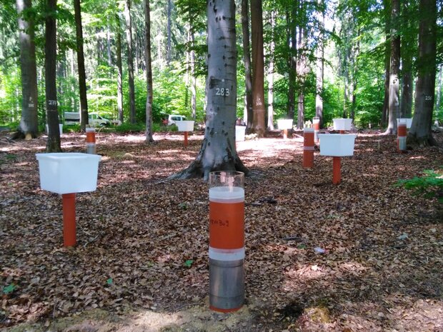 Auf dem Foto ist ein Versuchsaufbau im Wald in der Eifel abgebildet